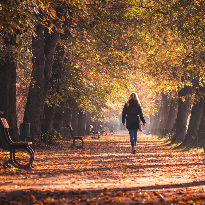 Autumn Offer